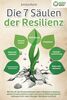 Die 7 Säulen der Resilienz: Wie Sie mit den Powermethoden eiserne Resilienz trainieren, absolut Stressresistent werden und eiserne Widerstandskraft aufbauen (inkl. vieler Übungen, Workbook und Test)