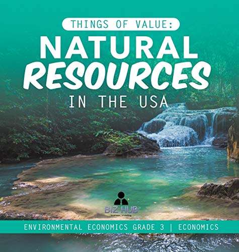 Things of Value: Natural Resources in the USA | Environmental Economics Grade 3 | Economics