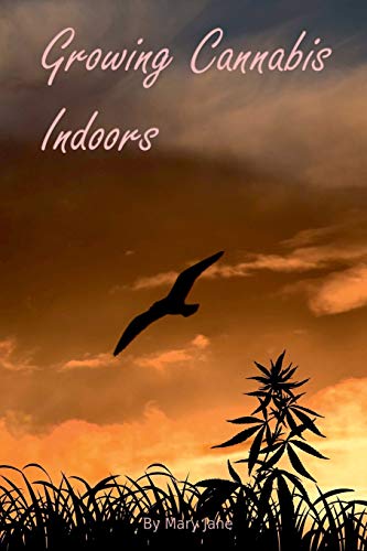 Growing Cannabis Indoors: Getting Started