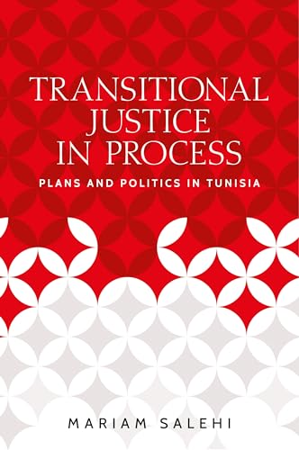 Transitional justice in process: Plans and Politics in Tunisia (Identities and Geopolitics in the Middle East)