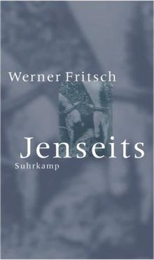 Jenseits von Werner Fritsch | Buch | Zustand sehr gut