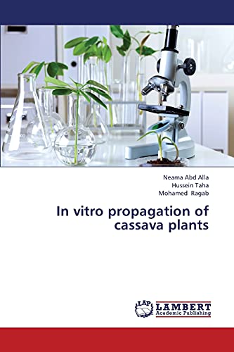 In vitro propagation of cassava plants
