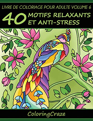 Livre de coloriage pour adulte Volume 6 40 motifs relaxants et anti