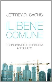 Il bene comune. Economia per un pianeta affollato (Saggi)