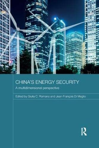 China's Energy Security: A Multidimensional Perspective (Routledge Contemporary China)