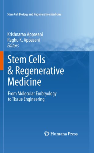 Stem Cells & Regenerative Medicine: From Molecular Embryology to Tissue Engineering (Stem Cell Biology and Regenerative Medicine)
