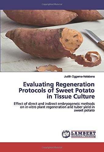 Evaluating Regeneration Protocols of Sweet Potato in Tissue Culture: Effect of direct and indirect embryogeneic methods on in-vitro plant regeneration and tuber yield in sweet potato