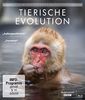 David Attenborough: Tierische Evolution [Blu-ray]