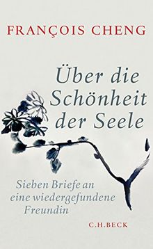 Über die Schönheit der Seele: Sieben Briefe an eine wiedergefundene Freundin