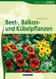 Beet-, Balkon- und Kübelpflanzen: BdB-Handbuch von Helga Panten | Buch | Zustand gut