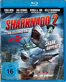 Sharknado 2 - The Second One [Blu-ray] von Ferrante, Anthony C. | DVD | Zustand sehr gut