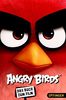Angry Birds: Das Buch zum Film