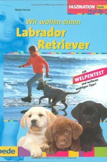 Labrador Retriever, Wir wollen einen: Mit Welpentest und weiteren wichtigen Tipps!