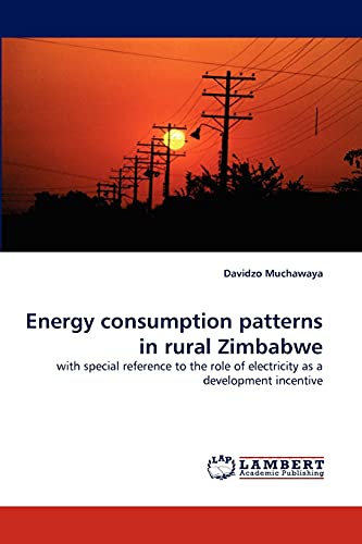 Energy consumption patterns in rural Zimbabwe: with special reference to the role of electricity as a development incentive