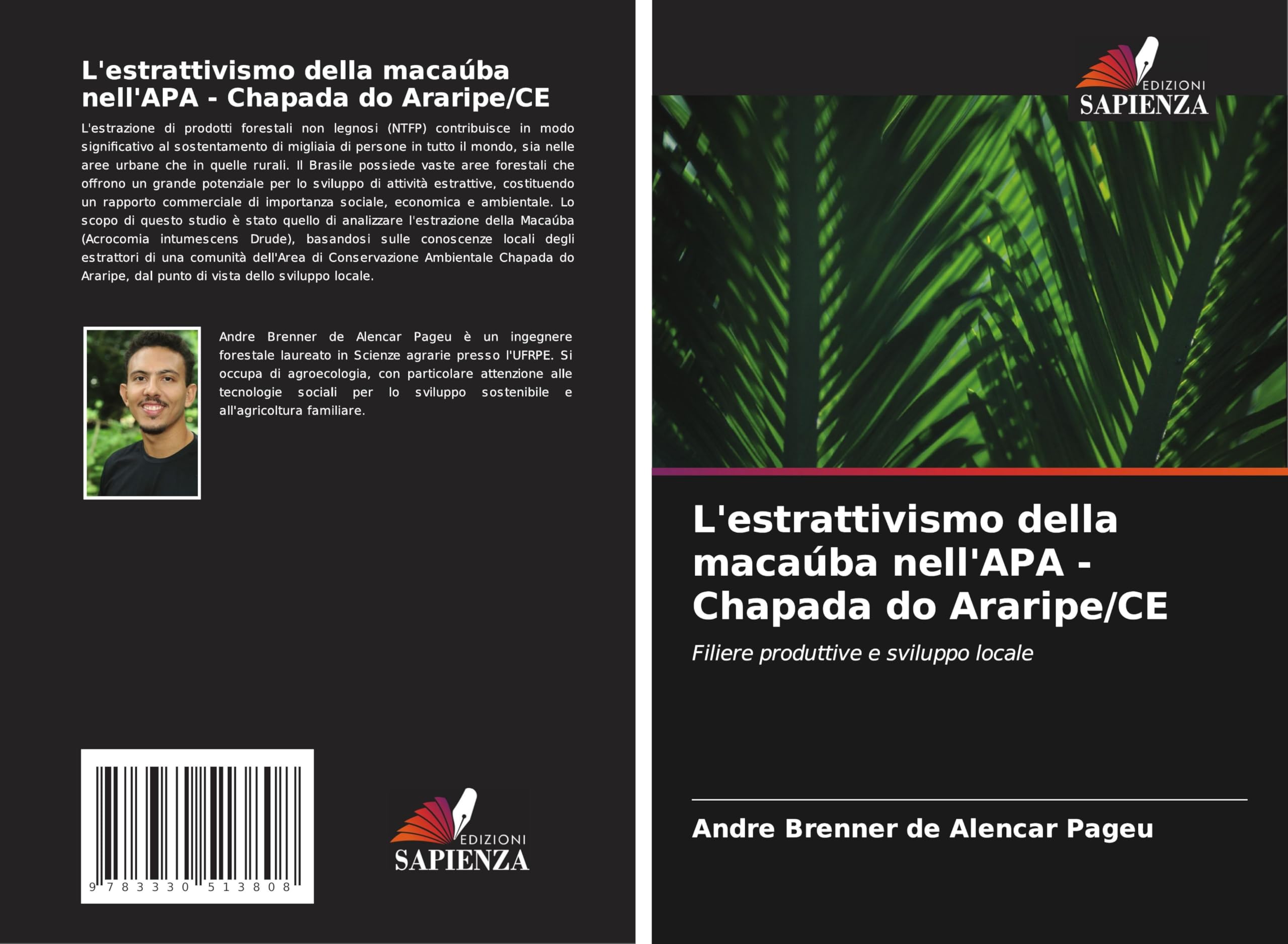 L'estrattivismo della macaúba nell'APA - Chapada do Araripe/CE: Filiere produttive e sviluppo locale