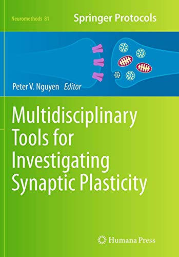 Multidisciplinary Tools for Investigating Synaptic Plasticity (Neuromethods, Band 81)