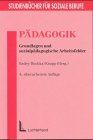 Pädagogik: Grundlagen und Arbeitsfelder (Studienbücher für soziale Berufe)