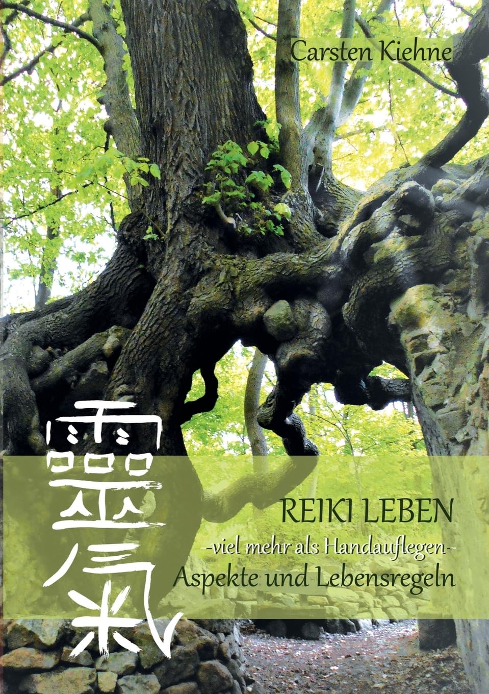 Reiki leben: Die Aspekte