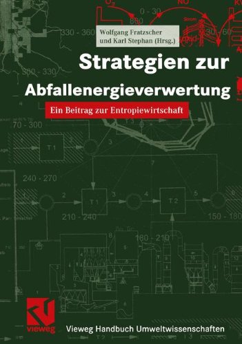 Strategien zur Abfallenergieverwertung: Ein Beitrag zur Entropiewirtschaft (Vieweg Handbuch Umweltwissenschaften) (German Edition)