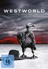 Westworld - Staffel zwei [3 DVDs]