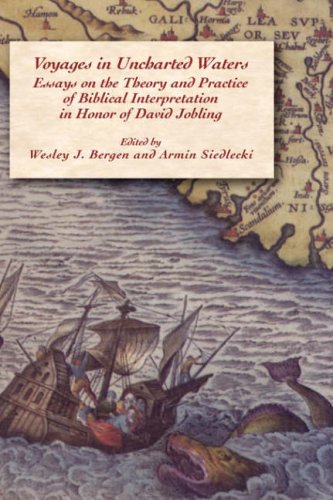 Voyages in Uncharted Waters: Essays on the Theory and Practice of Biblical Interpretation in Honor of David Jobling (Hebrew Bible Monographs)