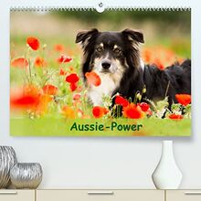 Aussie-Power (Premium, hochwertiger DIN A2 Wandkalender 2023, Kunstdruck in Hochglanz)