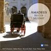 Amadeus - Best of Mozart