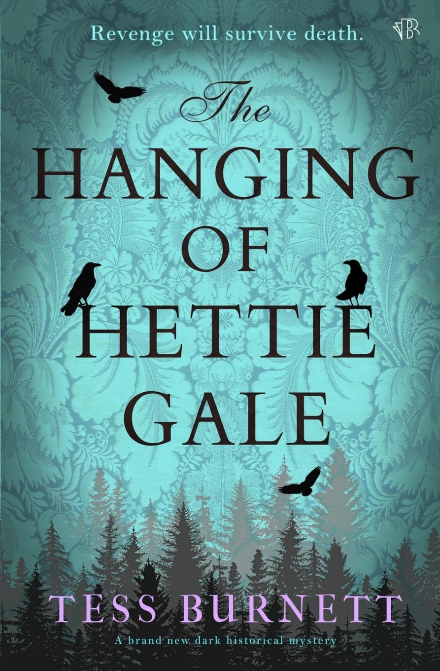 Tess Burnett The Hanging Of Hettie Gale, A Brand New Dark Historical Mystery
