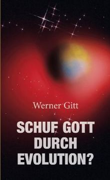Schuf Gott durch Evolution?