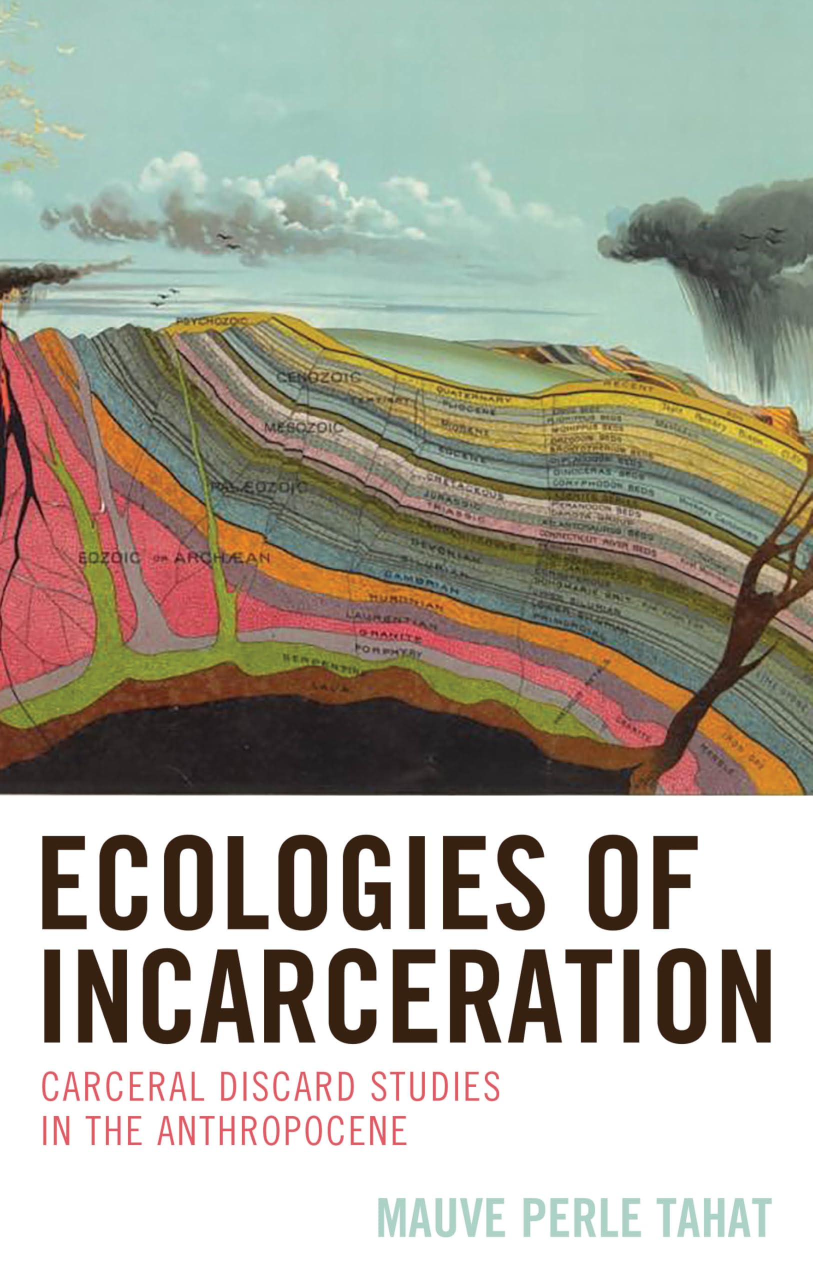 Ecologies of Incarceration: Carceral Discard Studies in the Anthropocene (Ecocritical Theory and Practice)