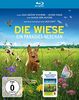 Die Wiese - Ein Paradies nebenan (Exklusiv-Version mit bienenfreundlichem Blumen-Samen) [Limited Edition] [Blu-ray]