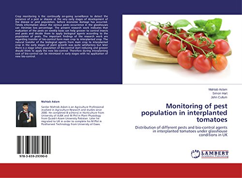 Monitoring of pest population in interplanted tomatoes: Distribution of different pests and bio-control agents in interplanted tomatoes under glasshouse conditions in UK