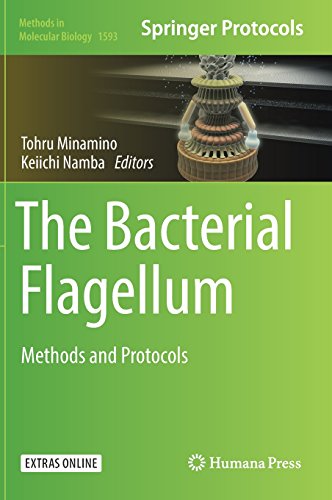 The Bacterial Flagellum: Methods and Protocols (Methods in Molecular Biology)