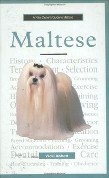 A New Owner's Guide to Maltese