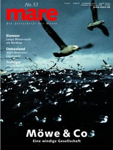 mare - Die Zeitschrift der Meere: mare, Die Zeitschrift der Meere, Nr.53 : Möwe & Co.: No 53