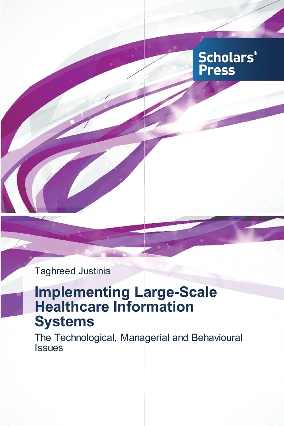 Implementing Large-Scale Healthcare Information Systems: The Technological, Managerial and Behavioural Issues
