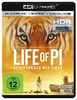 Life of Pi - Schiffbruch mit Tiger (+ 4K Ultra HD-Bluray) [Blu-ray]