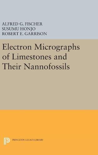 Electron Micrographs of Limestones and Their Nannofossils (Monographs in Geology and Paleontology)