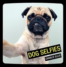 Dog Selfies: Mit deutschen Texten
