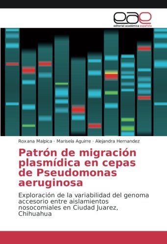 Patrón de migración plasmídica en cepas de Pseudomonas aeruginosa: Exploración de la variabilidad del genoma accesorio entre aislamientos nosocomiales en Ciudad Juarez, Chihuahua