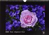Rose - eleganza in fiore 2020 - Edizione Nera - Timokrates calendari da parete, calendari fotografici - DIN A4 (ca. 30 x 21 cm)