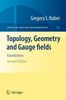 Topology, Geometry and Gauge fields: Foundations (Texts in Applied Mathematics)