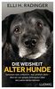 Die Weisheit alter Hunde: Gelassen sein, erkennen, was wirklich zählt – Was wir von grauen Schnauzen über das Leben lernen können