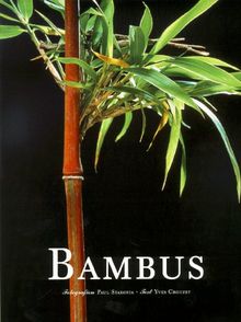 Bambus