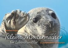 Kleine Muntermacher für Lebenskünstler: Postkartenbuch