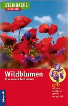 Steinbachs Naturführer. Wildblumen. Erkennen und bestimmen