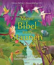 Meine Bibel zum Staunen: Gottes großartige Geschichte entdecken