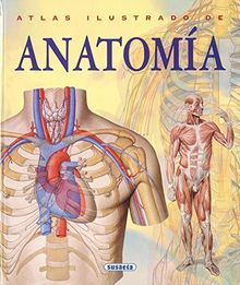 Atlas ilustrado de anatomía