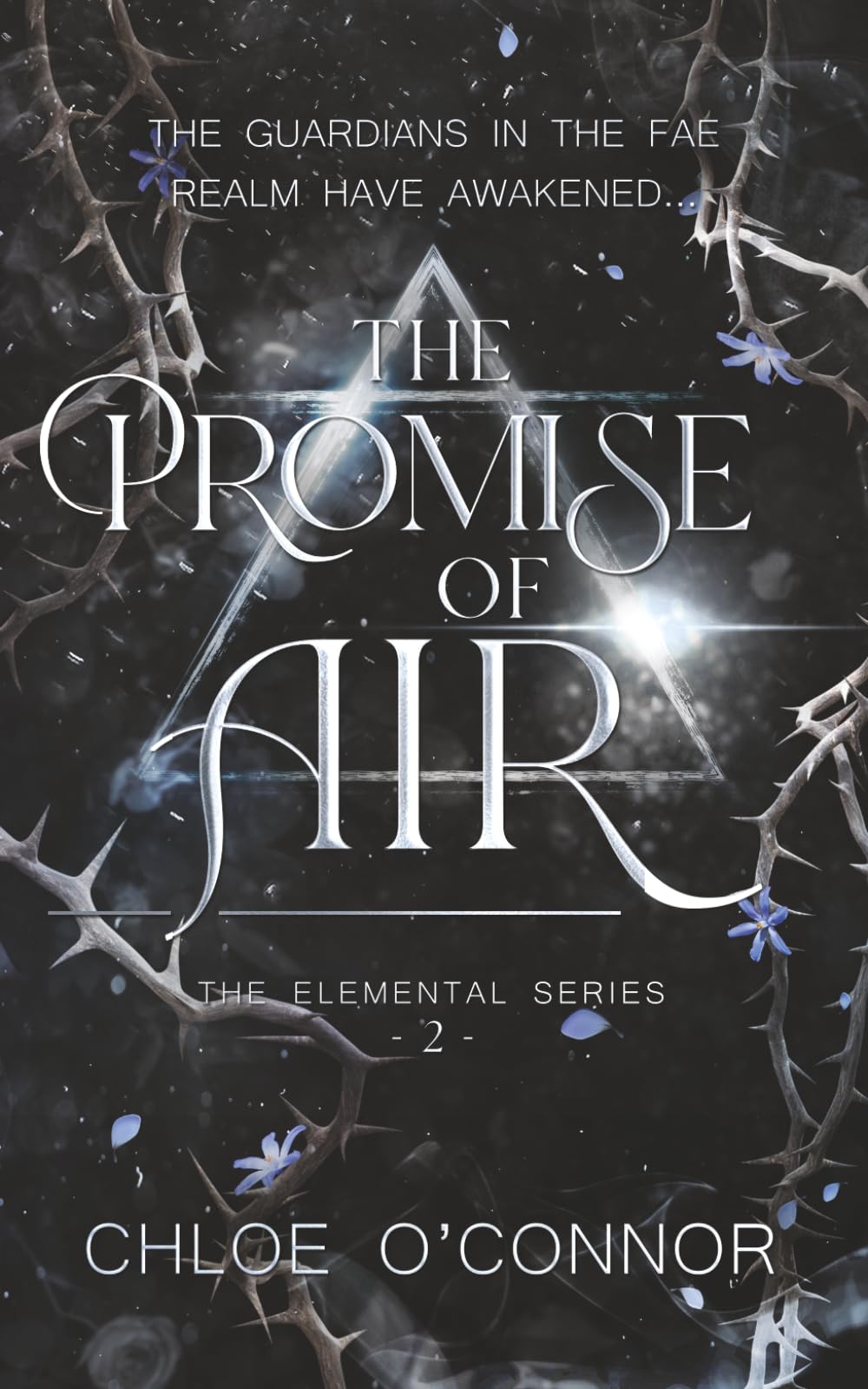 The Promise of Air (The Elemental Series, Band 2)