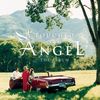 Touched By An Angel:the Album